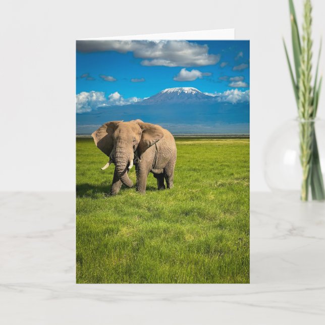 Berg | Kilimanjaro Tanzania, Afrika Kort (Framsida)