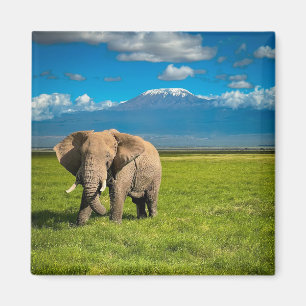 Berg Kilimanjaro Tanzania, Afrika Magnet
