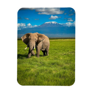 Berg Kilimanjaro Tanzania, Afrika Magnet