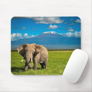 Berg Kilimanjaro Tanzania, Afrika Musmatta