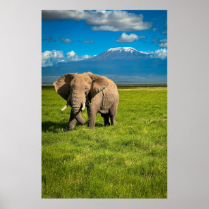 Berg Kilimanjaro Tanzania, Afrika Poster