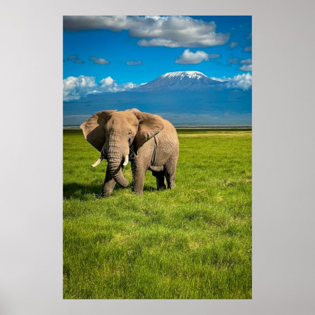 Berg | Kilimanjaro Tanzania, Afrika Poster (Framsidan)