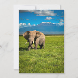 Berg Kilimanjaro Tanzania, Afrika Tack Kort