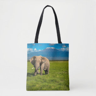 Berg Kilimanjaro Tanzania, Afrika Tygkasse