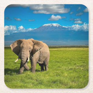Berg Kilimanjaro Tanzania, Afrika Underlägg Papper Kvadrat