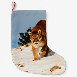 Berg Lejon på backe Liten Julstrumpa
