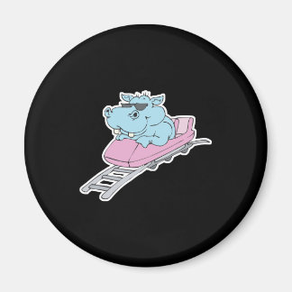 berg-och-dalbana flodhäst magnet