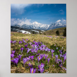 Berg och krokblommor på Velika Planina, Sl Poster