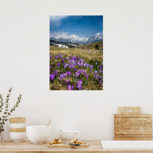 Berg och krokusblommor på Velika Planina, Sl Poster