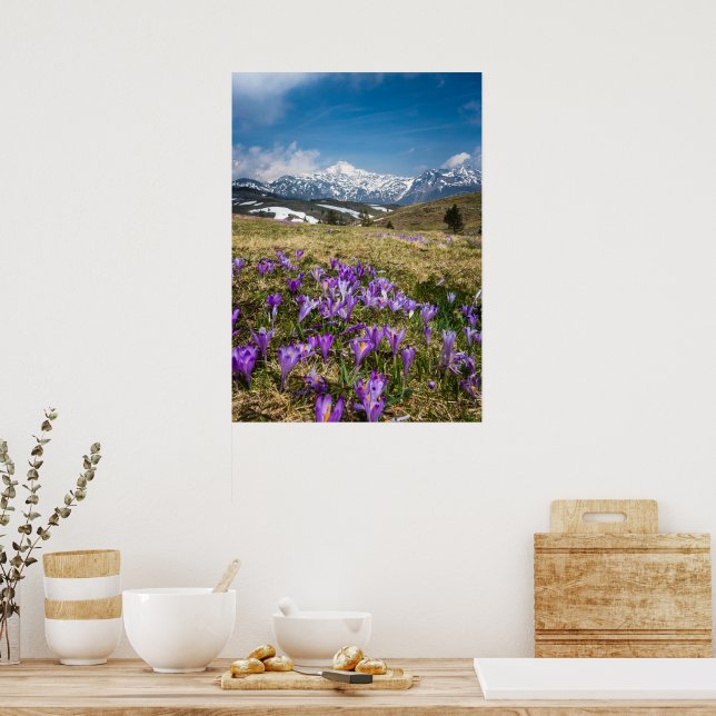 Berg och krokusblommor på Velika Planina, Sl Poster (Kök)