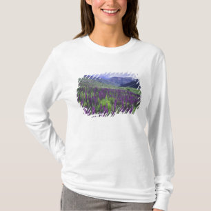 Berg och vilda blommor i alpin äng, 2 tröja