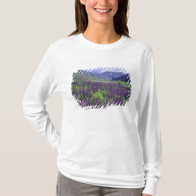 Berg och vilda blommor i alpin äng, 2 tröja (Framsida)