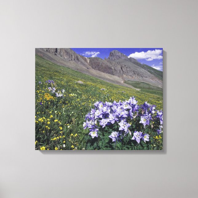 Berg och vilda blommor i alpin äng, Blå Canvastryck (Framsida)