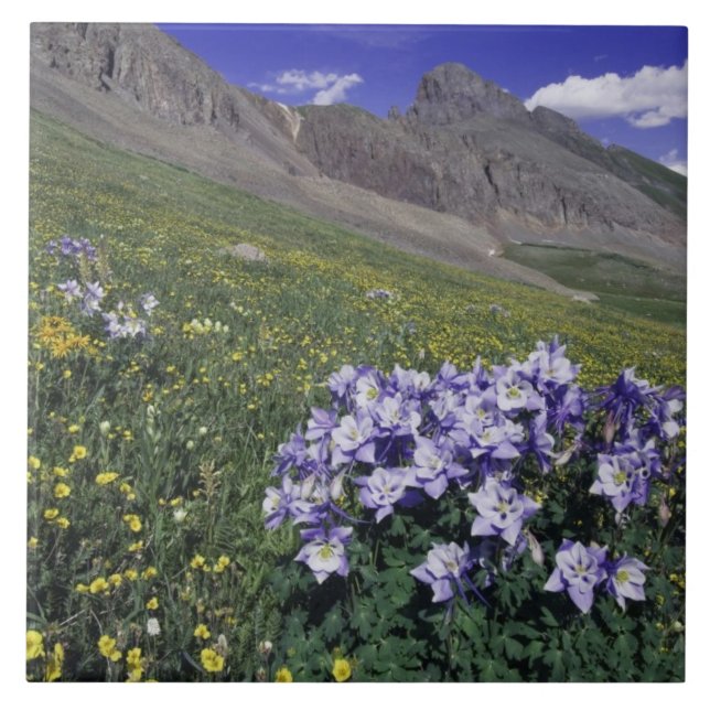 Berg och vilda blommor i alpin äng, Blå Kakelplatta (Framsidan)