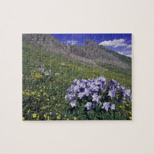 Berg och vilda blommor i alpin äng, Blå Pussel