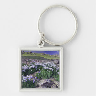 Berg och vilda blommor i alpin äng, fyrkantig silverfärgad nyckelring