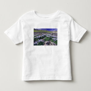 Berg och vilda blommor i alpin äng, t shirt