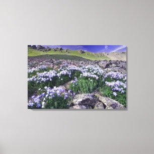 Berg och vilda blommor på alpin äng, canvastryck