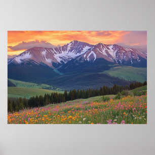 Berg och vilda blommor Tryck Colorado