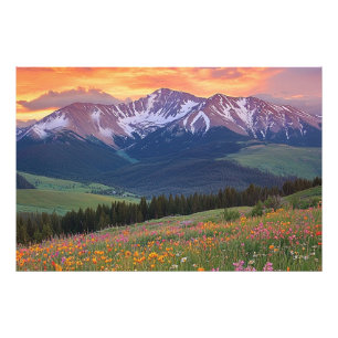 Berg och vilda blommor tryck Colorado