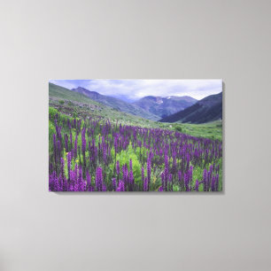 Berg och vildblommor i alpin äng, 2 canvastryck