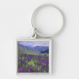 Berg och vildblommor i alpin äng, 2 fyrkantig silverfärgad nyckelring