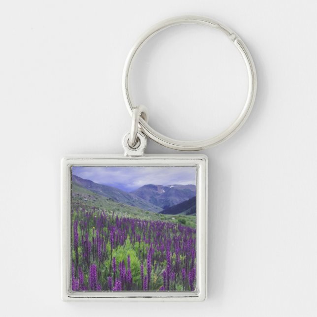 Berg och vildblommor i alpin äng, 2 fyrkantig silverfärgad nyckelring (Framsidan)