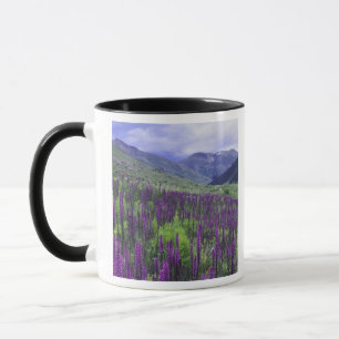 Berg och vildblommor i alpin äng, 2 mugg