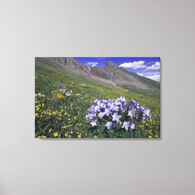 Berg och vildblommor i alpin äng, Blå Canvastryck (Framsida)