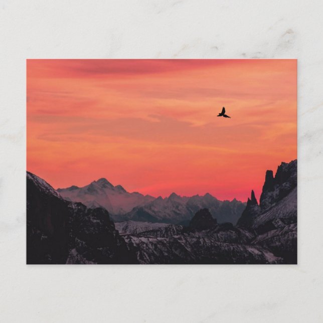 Berg Orange Solnedgång Fågel i Himmel Vykort (Framsida)