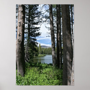 Berg sjö, skog (porträtt) poster