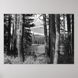 Berg sjö, skog som är svartvit poster
