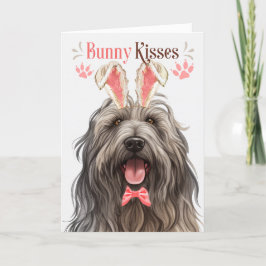 Bergamasco Hund i Bunny Öron för Påsk Helgkort
