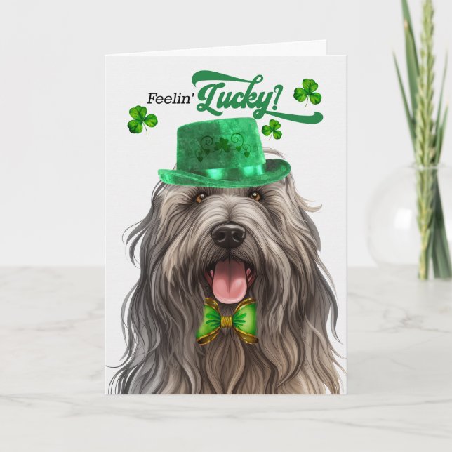 Bergamasco Hund Lucky St patrick's day Helgkort (Framsida)
