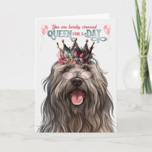 Bergamasco Hund Queen for Day Funny Birthday Kort