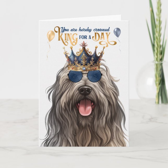 Bergamasco Kung för dag Funny Birthday Kort (Framsida)