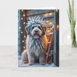 Bergamasco Sheepdog Hund julhälsningskort Kort