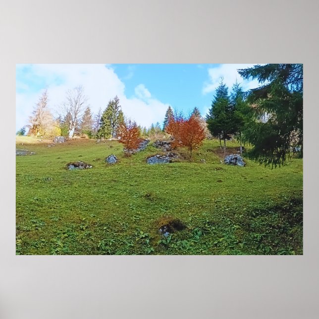 Bergäng - Vild Natur Rumänien Poster (Framsidan)