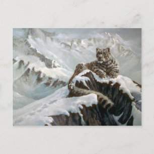 Bergarnas anda, Snö Leopard Vykort
