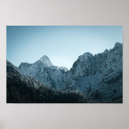 Bergarter och skogar av skarpsill poster