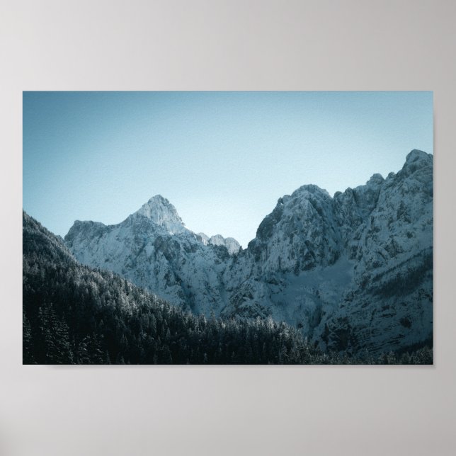 Bergarter och skogar av skarpsill poster (Framsidan)