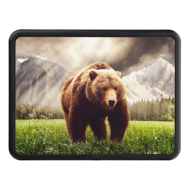 Bergbjörn Dragkroksskydd (Framsidan)