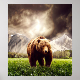 Bergbjörn Poster