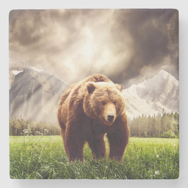 Bergbjörn Underlägg Sten (Framsidan)