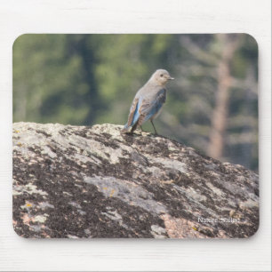 Bergblåsångare på granit musmatta