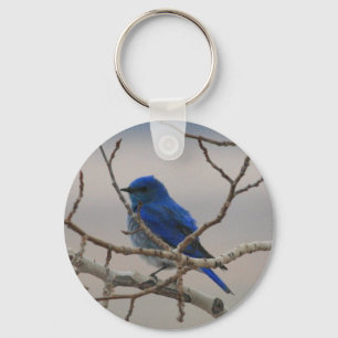 Bergblåttfågel Nyckelring