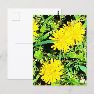Bergd dandelion Pic från Vår Ottawa Kanada Vykort