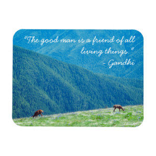 Bergens buckar magnet
