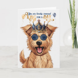 Berger Picard Hund för Day Funny Birthday Kort