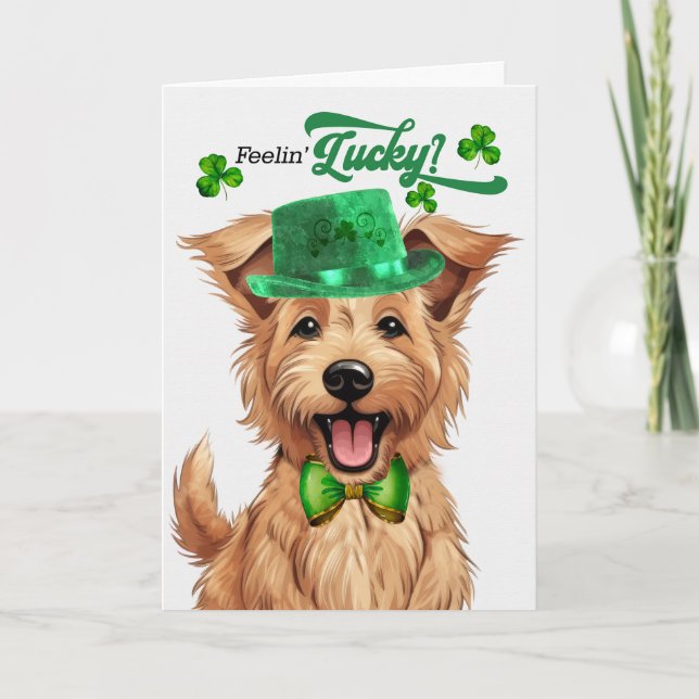 Berger Picard Hund Lucky St patrick's day Helgkort (Framsida)